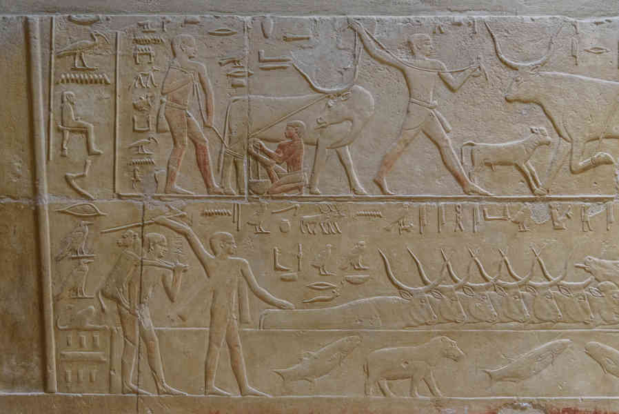 Egipto 259 - necrópolis de Sakkara - mastaba de Meraruka.jpg
